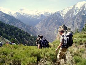 photo coins arrondis